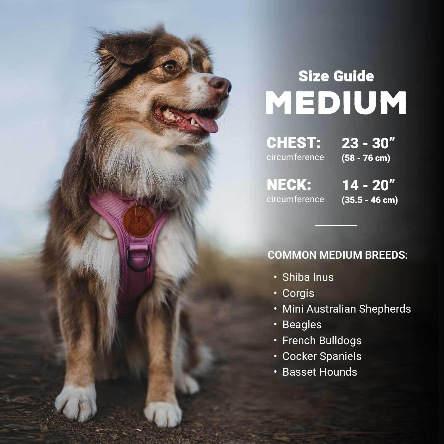 wilderdog-lightweight-dog-harness-with-reflective-straps-medium-huckleberry