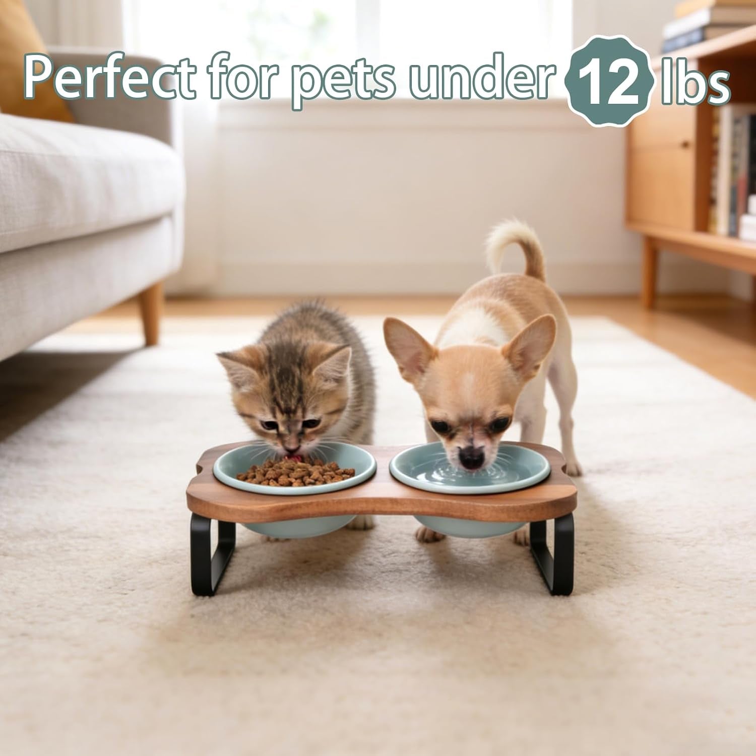 spunkyjunky-ceramic-elevated-tilted-dog-bowls-bone-shaped-raised-with-2-height-iron-stand-4-9-dog-and-cat-food-water-bowls-set-non-slip-for-puppy-kitten-small-sized-breed-7-oz-light-green