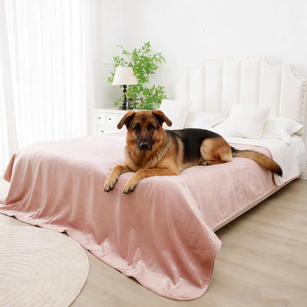 Waterproof Blanket for Dogs - Reversible Furniture Protector | TPU Leak-Proof Liner, Soft Velvet & Flannel Pet Throw, Machine Washable, for Couch and Bed, 52" X 82", Beige/Khaki12