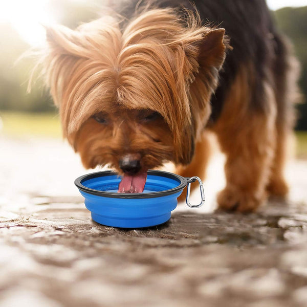 Kytely Large Collapsible Dog Bowls 2 Pack, 34Oz Foldable Dog Travel Bowl, Portable Pet Water Food Bowl with Clasp, Pet Cat Feeding Cup Dish for Traveling, Walking, Hiking (Black+Blue)6