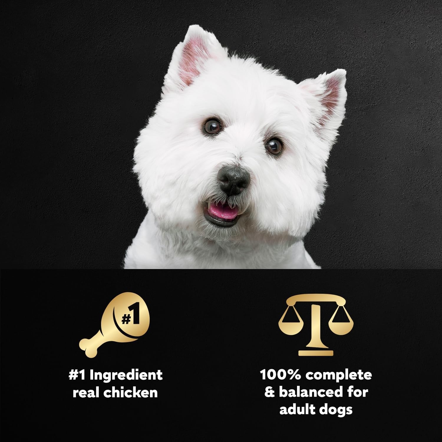 cesar-wholesome-bowls-wet-dog-food-chicken-recipe-3-oz-10-count-real-chicken-1-ingredient-slow-cooked-7-key-ingredients-no-by-products-or-artificial-flavors-easy-to-digest