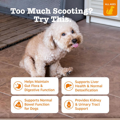 Zesty Paws Scoot Away Soft Chews - Healthy Bowel Function with Bromelain, Vita Fiber for Dogs, & Dandelion Root for Dog Digestive Support and Gut Health - 90 Soft Chews2