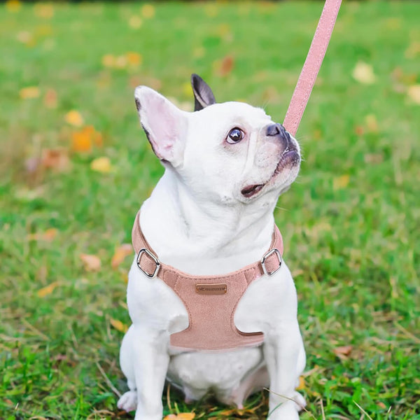 Dog Harness and Leash Set, XXS No Pull Adjustable Puppy Harness with Multifunction Pink Dog Leash and Dog Collar, Soft No Choke Escape Proof Pet Harness Vest for Small Dogs and Cats (Pink, S)3