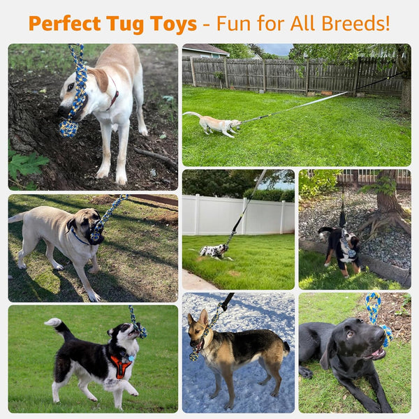 LOOBANI Outdoor Bungee Tug Toy, Interactive Tree Hanging Dog Toys, Black | Durable, Tug of War, Exercise Play Cord & Tether, Chew Rope Toy, Muscle Building & Bite Training, for Small to Large Dogs7