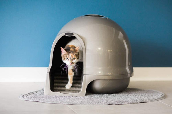 Petmate Booda Clean Step Cat Litter Box Dome (Made in the USA with 95% Recycled Materials)- Brushed Nickel, Made in USA2