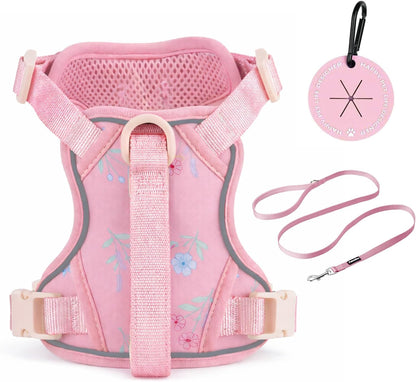 Petmolico No Pull Cute Dog Harness Reflective, Light Blue, Small | Set Includes Leash & Waste Bag Holder, 2 Clips & Handle, Soft Comfy Fit, Adjustable, Ideal for Daily Walks & Travel13