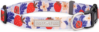 Lucky Love Dog - Easy Click Buckle Dog Collar with Leash Set Combo, Durable & Comfortable for Male & Female Dogs, Pet Collar for Medium Dogs, Secure Fit - Blackbird Combo, Medium69