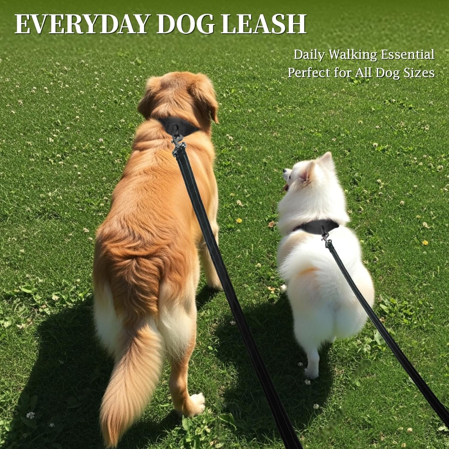 vivaglory-dog-leash-puppy-leash-for-collar-3ft-x-1in-black-with-soft-padded-handle-for-training-walking-heavy-duty-double-layer-nylon-pet-puppy