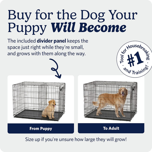 Midwest Homes for Pets 30-Inch Icrate for Medium Breeds, 21-40 Lbs, Single Door Folding Dog Crate with Divider Panel, Leak-Proof Tray & Secure Latch, Portable, Durable & Easy to Assemble3