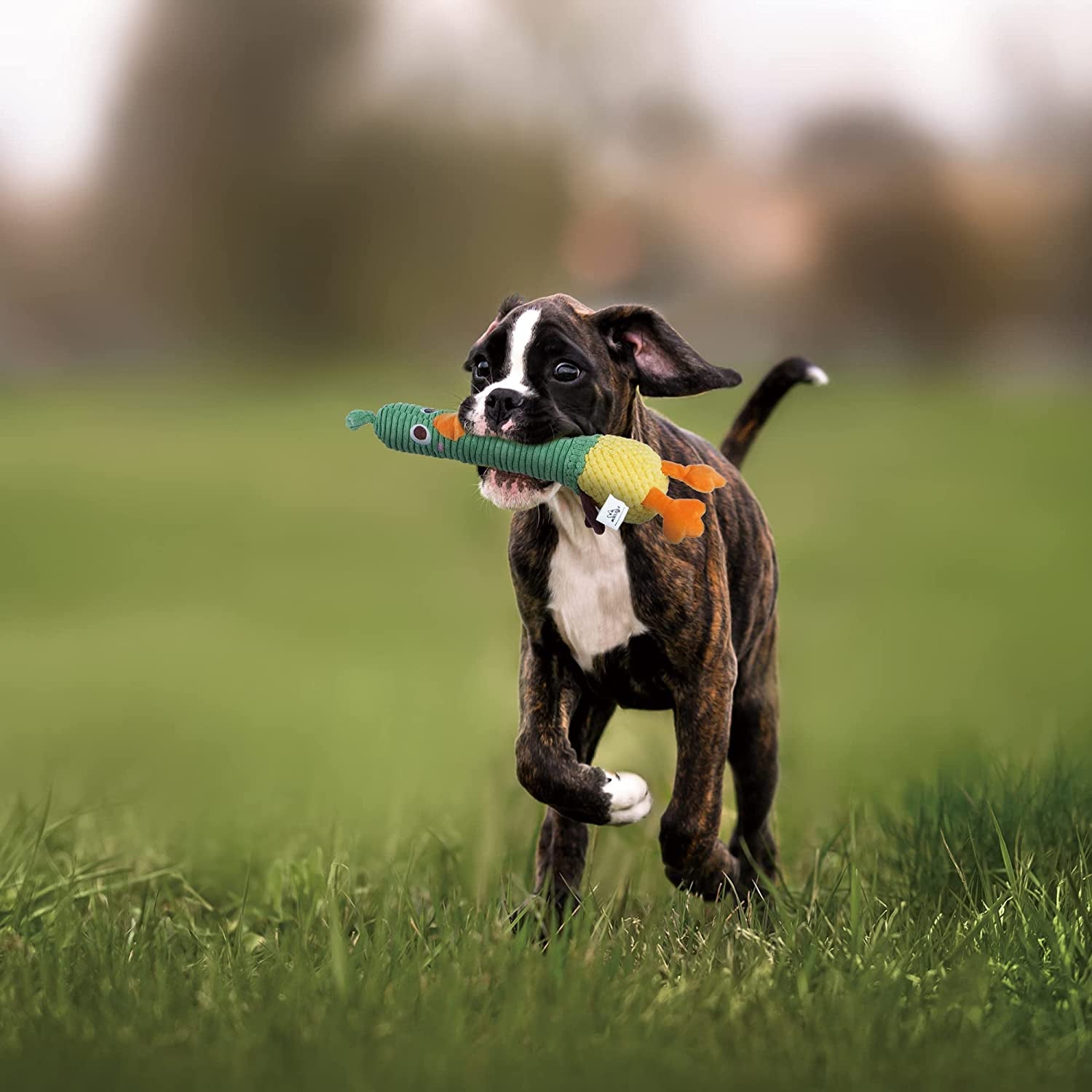 nocciola-2-in-1-easter-duck-dog-toy-with-a-large-rubber-squeaker-tough-durable-stuffed-squeaky-crinkle-chew-toys-for-aggressive-chewers-medium-and-large-breeds