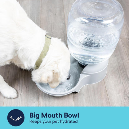 Petmate Aspen Pet Lebistro Cat and Dog Water Dispenser, Made in USA6