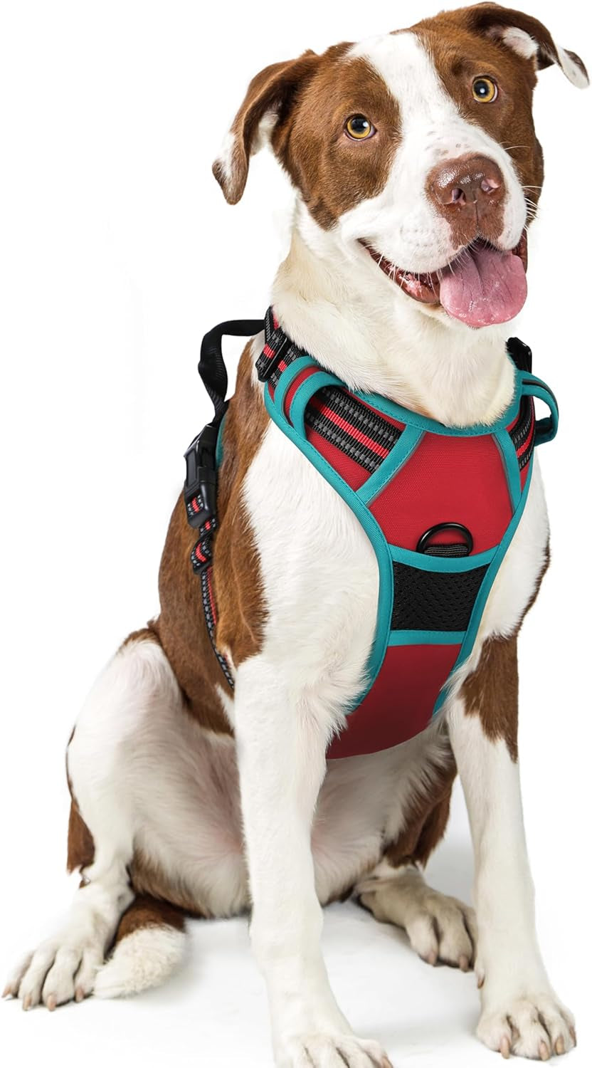 rabbitgoo-dog-harness-no-pull-for-large-dogs-with-2-leash-clips-pet-vest-no-choke-with-handle-adjustable-soft-padded-reflective-easy-control-for-walking-black-large