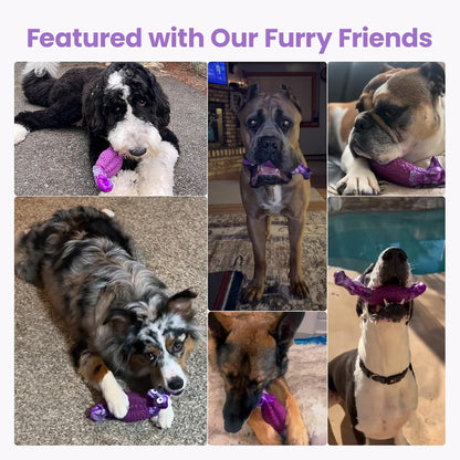 HGB Tough Dog Chew Toys for Aggressive Chewers, Squeaky Indestructible Dog Toy for Large Dogs to Keep Them Busy & Reduce Boredom for Small, Medium, Large Breed, Bacon Flavor7