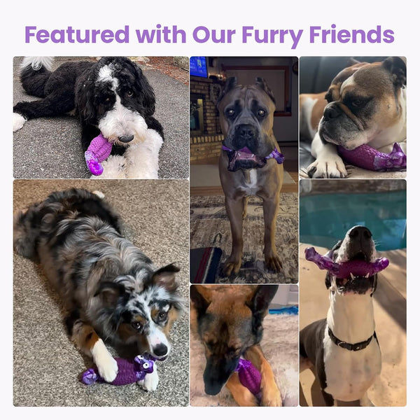 HGB Tough Dog Toys for Aggressive Chewers, Squeaky Indestructible Chew Toy | Alligator Dog Toy for Medium & Large Dogs, Hard Nylon & Natural Rubber, Teeth Cleaning Texture, Bacon Flavor, Keeps Dogs Busy7
