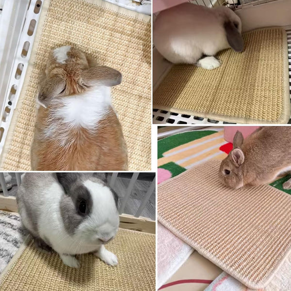 2PCS Rabbit Scratch Mat, Natural Bunny Pad Claws and Teeth Care, 16X12 | Bunny Scratching Pad Rabbit Mats for Cages, Rabbit Mat Chew Toys for Bunny Pet Cage Bedding for Biting Sleeping Nesting6
