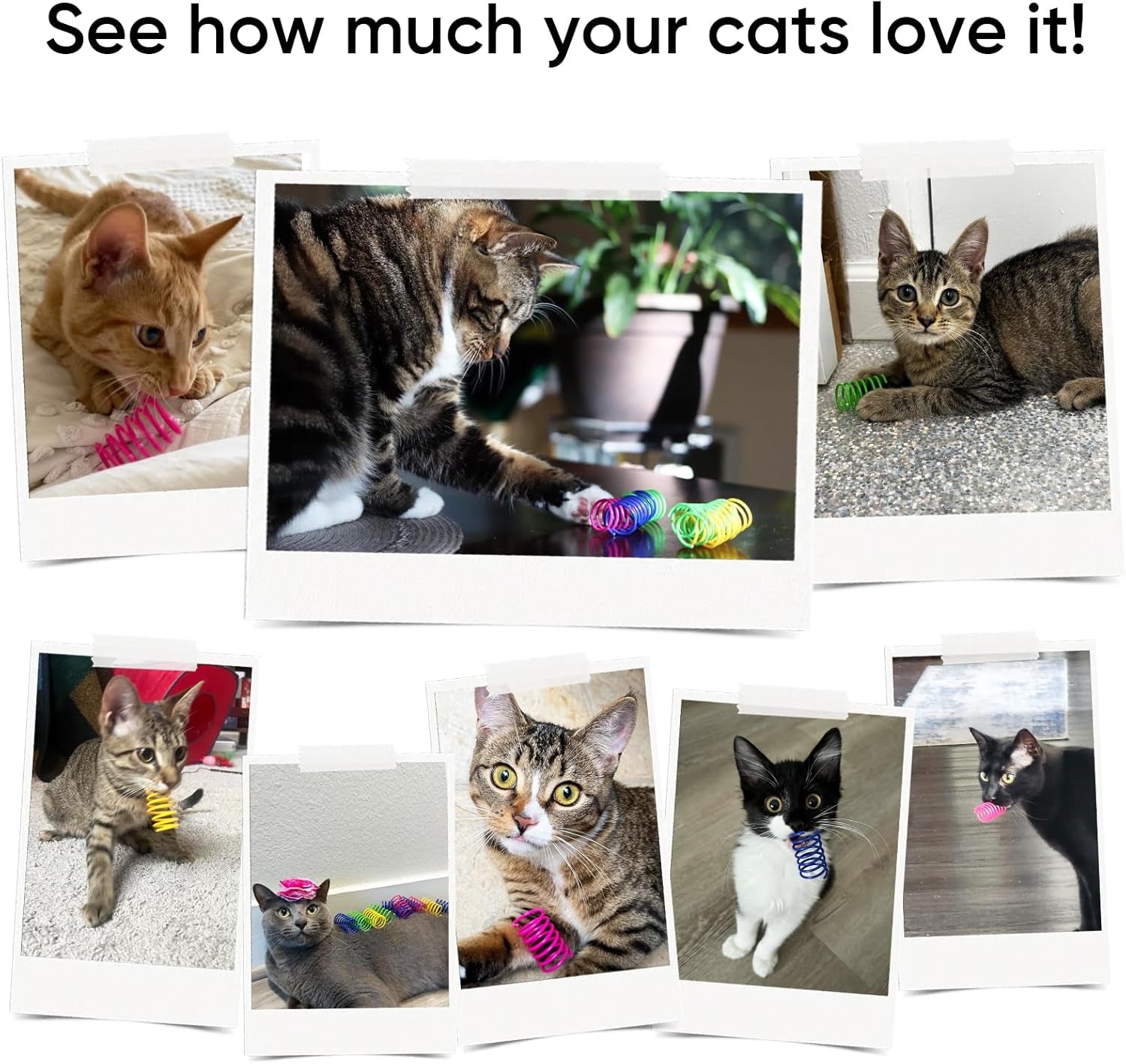 cat-toys-for-indoor-cats-30-pack-interactive-cat-spring-toys-durable-colorful-plastic-spiral-springs-for-kitten-hunt-swat-and-bite-bulk-cat-toys