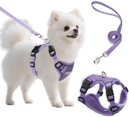 Small Dog Harness and Leash Set, Adjustable Small Sized Pet Vest | Reflective Soft Breathable Mesh, 3 Buckles, Adjustable Neck and Chest, Easy on and Comfortable Secure Walking, Purple, S1