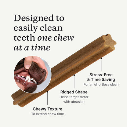 Petlab Co. Dental Sticks – Dog Dental Chews -Target Plaque & Tartar Build-Up at the Source - Designed to Maintain Your Dog’S Oral Health, Keep Breath Fresh and Provide Digestive Help (24 Sticks) | Ridged Texture with Chicory Root Prebiotic and Peppermint to Support Tartar Removal, Digestion and Fresh Breath6
