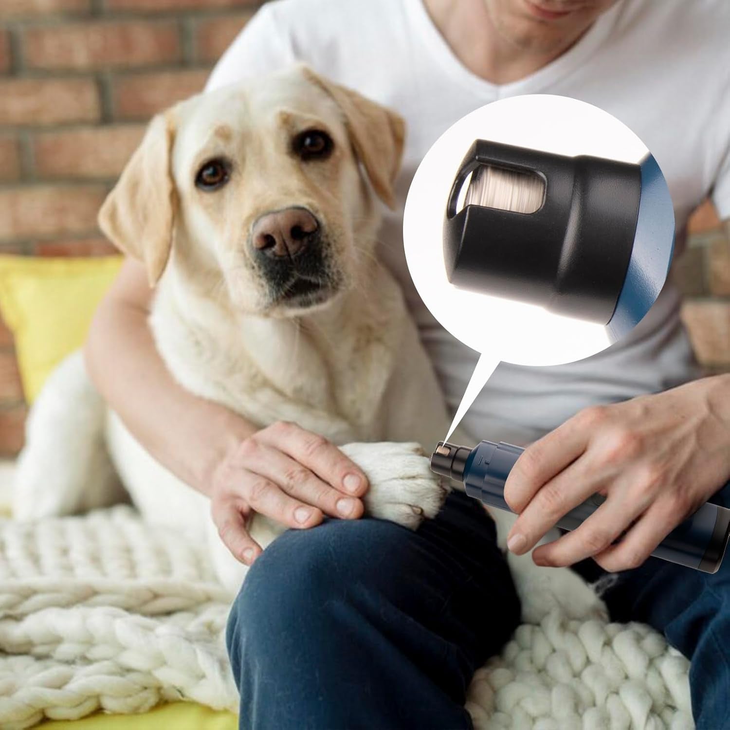 pet-nail-grinder-for-dogs-quiet-2-speed-type-c-rechargeable-dog-nail-trimmer-low-noise-paw-grooming-for-dogs-cats-blue