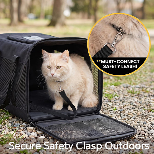 Conlun Cat Carrier Airline Approved, Soft-Sided Dog Carrier with Inner Safety Leash, Pet Transport Carrier for Small-Medium Cats Puppies up to 15 Lbs, Collapsible Travel Kitten Carrier Bag -Blackm | Airline Approved,With Inner Safety Leash,Collapsible Pet Transport Carrier for Small Dog/Medium Cats5