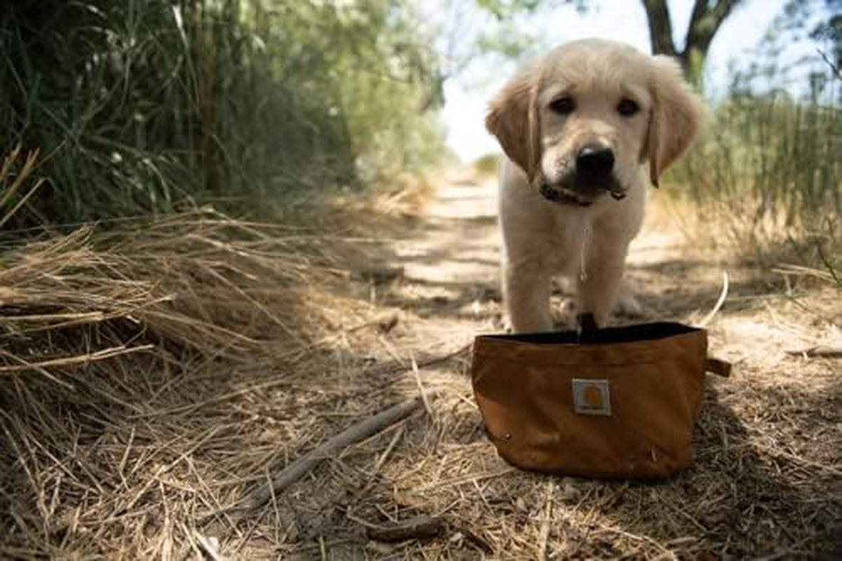 carhartt-nylon-duck-travel-dog-bowl-carhartt-brown-packable-dog-bowl-for-food-and-water-10-cup-capacity