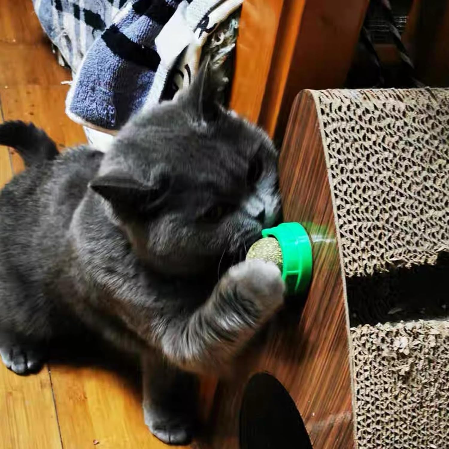 4pcs-catnip-balls-for-cats-wall-catnip-toys-for-cat-lick-kitten-chew-toys-teeth-cleaning-dental-edible-cat-toys
