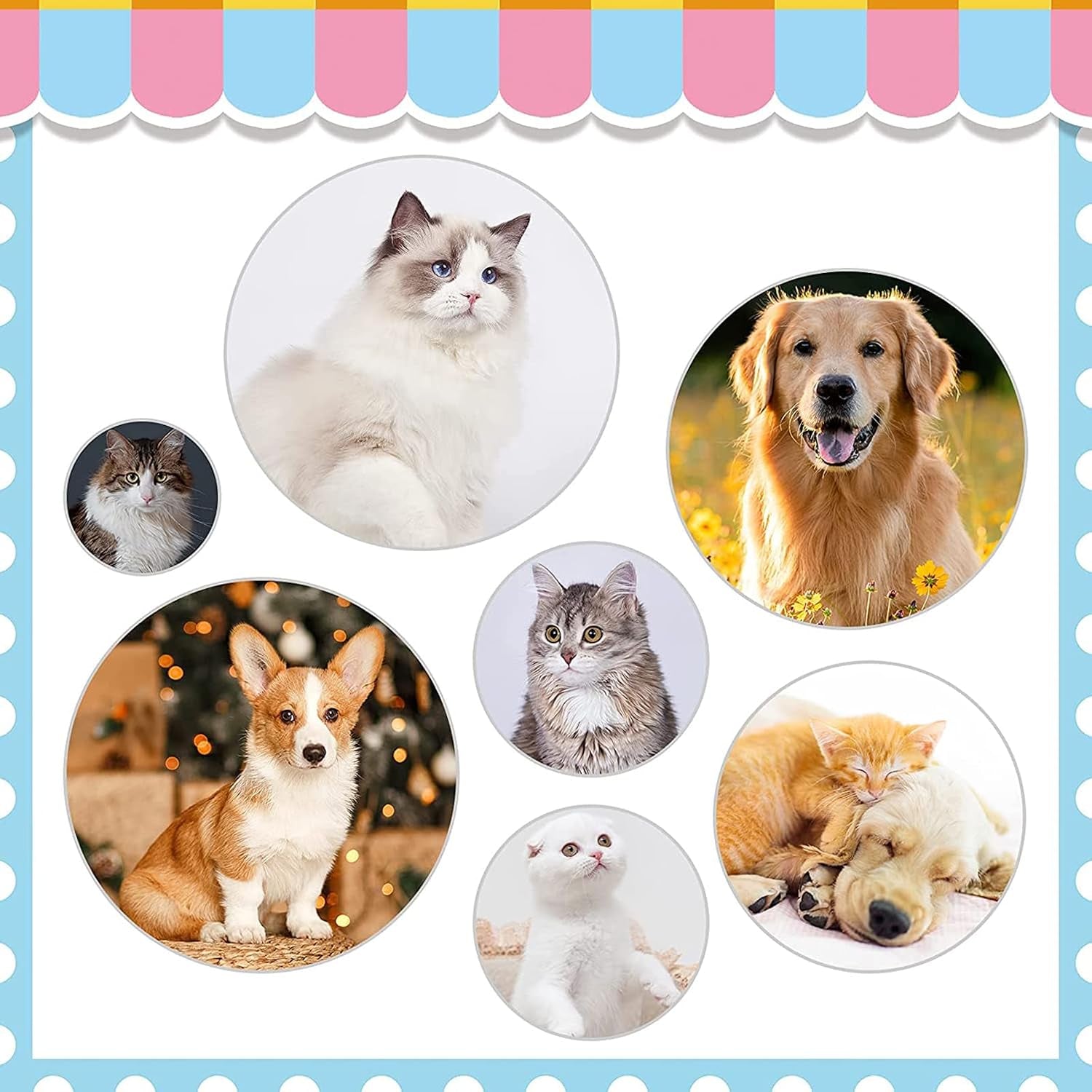 self-cleaning-slicker-brush-cat-brushes-for-indoor-cats-with-metal-comb-dogs-cats-hair-brushes-for-shedding-pet-kitten-grooming-tool-with-release-button-for-long-or-short-hair-by-kalamandablue