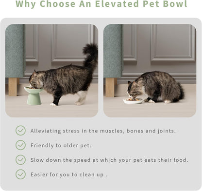 CEEFU 2-Pack Elevated Ceramic Cat Bowls Extra Wide for Food & Water | anti Vomiting, Whisker Friendly, Shallow Food Dish and Deep Water Bowl, Lead&Cadmium-Free, Raised Height for Cats, Sage Green6