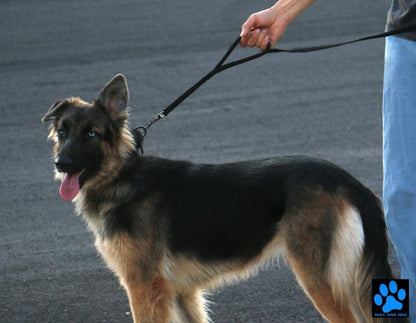 Max and Neo Double Handle Traffic Dog Leash - Reflective, Donates to Dog Rescue (Black, 6 FT)3