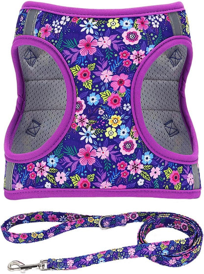 Step in Dog Harness Leash Set- All Weather Reflective No-Pull Floral Pattern Padded Mesh Vest Harness for Cats Puppy Extra-Small Small Medium Large Dogs - Pink Flower - S16