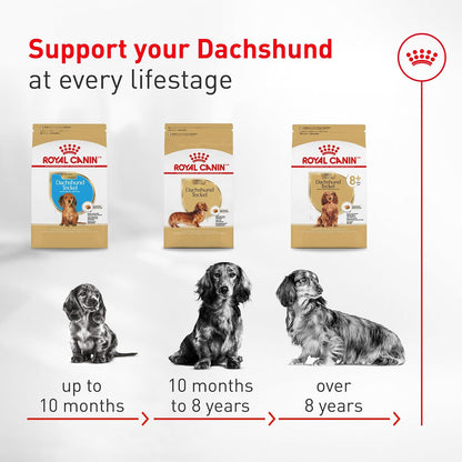 ROYAL CANIN Breed Health Nutrition Dachshund Adult Dry Dog Food, 10 Lb Bag. | Specialized Kibble Shape, Supports Joint and Bone Health, Promotes Healthy Weight, Complete and Balanced Nutrition8