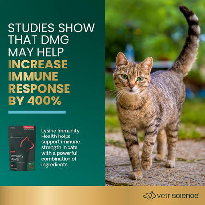 Vetriscience Lysine Immunity Health Chews, 250 Mg Lysine plus Immune Supplement for Cats and Kittens with Allergies, Sneezing, Runny Nose and Watery Eyes, Chicken, 120 Count3