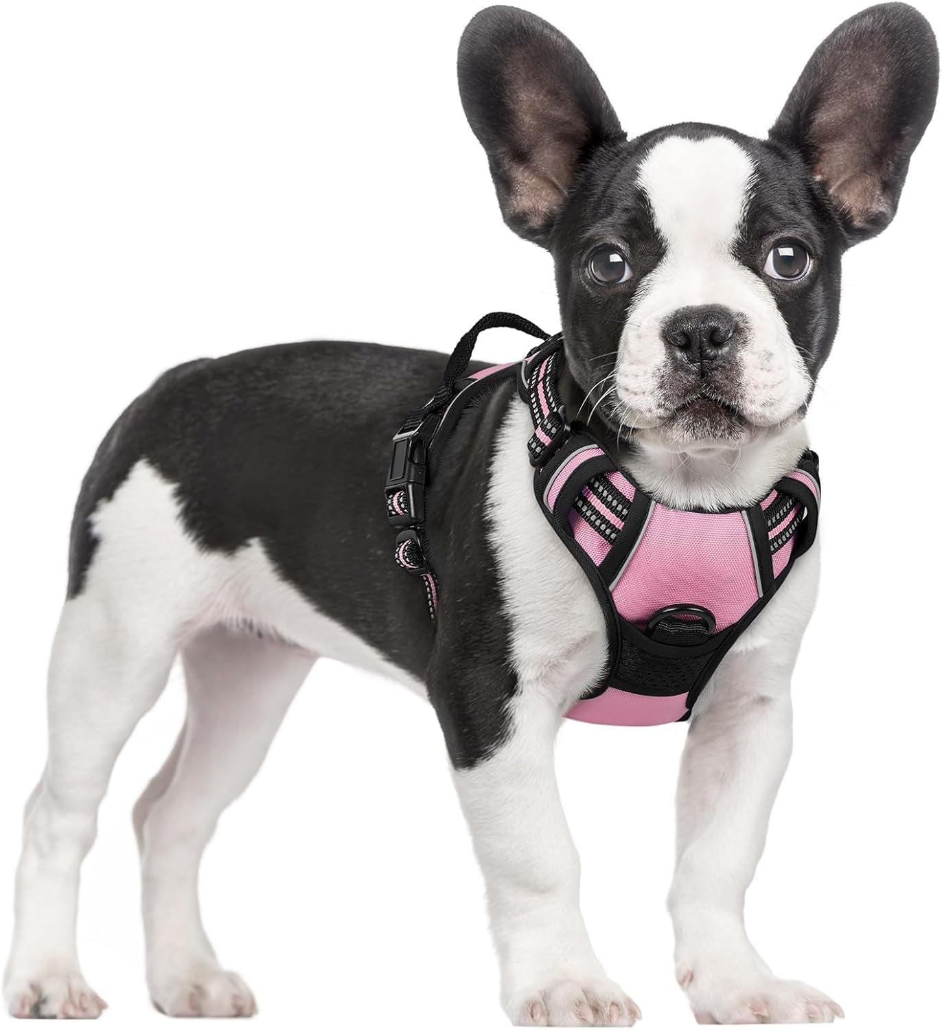 rabbitgoo-dog-harness-no-pull-for-large-dogs-with-2-leash-clips-pet-vest-no-choke-with-handle-adjustable-soft-padded-reflective-easy-control-for-walking-black-large