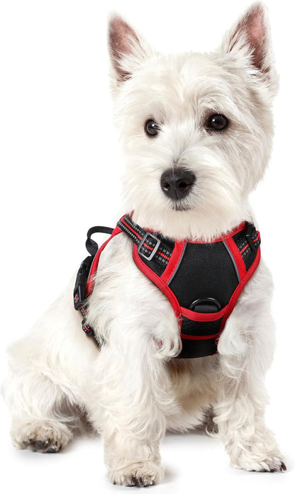 Rabbitgoo Dog Harness, No Pull for Large Dogs with 2 Leash Clips, Pet Vest | No Choke with Handle, Adjustable Soft Padded, Reflective, Easy Control for Walking, Black, Large15