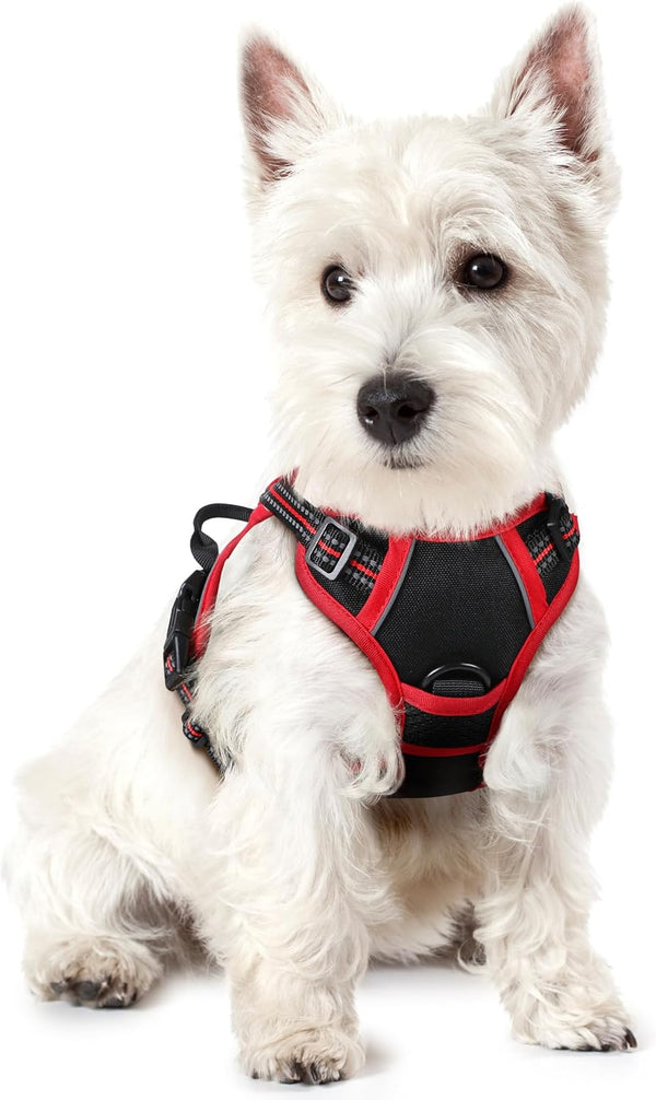 Rabbitgoo Dog Harness, No Pull for Large Dogs with 2 Leash Clips, Pet Vest | No Choke with Handle, Adjustable Soft Padded, Reflective, Easy Control for Walking, Black, Large15