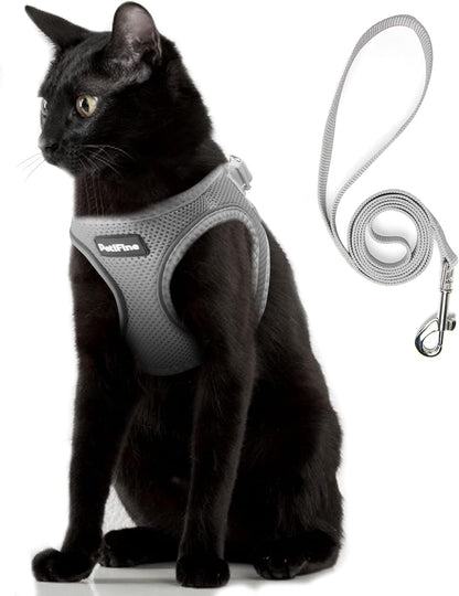 Small Dog Harness and Leash Set Breathable Step-In Puppy Cat Harness,Xs | Reflective for Safe Easy Walking,Soft Light Puppy Vest,Escape Proof,No Pull Harness for Dogs,All Weather Air Mesh Harness12