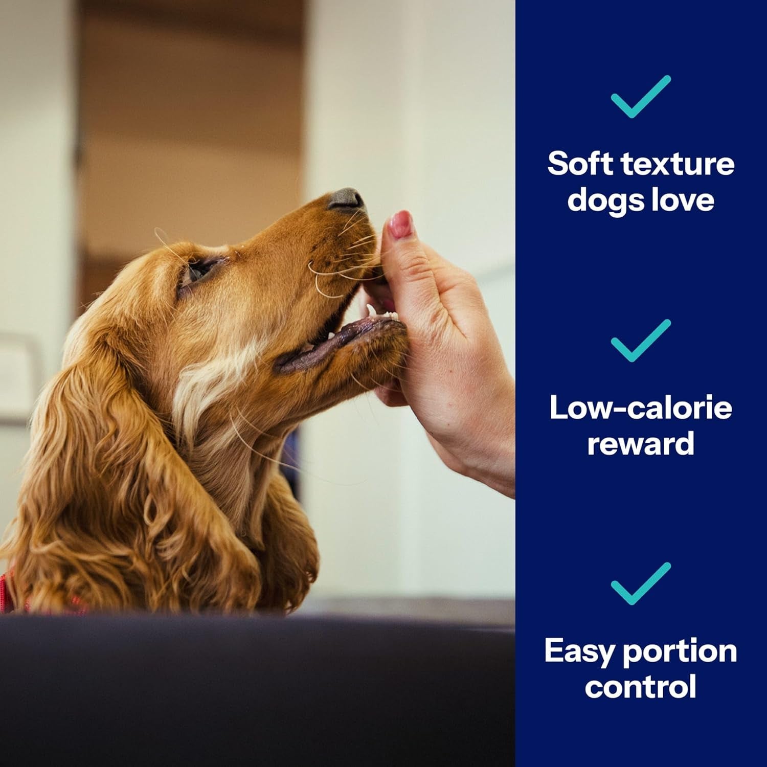 covetrus-nutrisential-lean-treats-for-dogs-small-medium-large-dogs-k9-nutritional-low-fat-bite-size-soft-chicken-flavor-chicken-flavor-3-pack-4oz