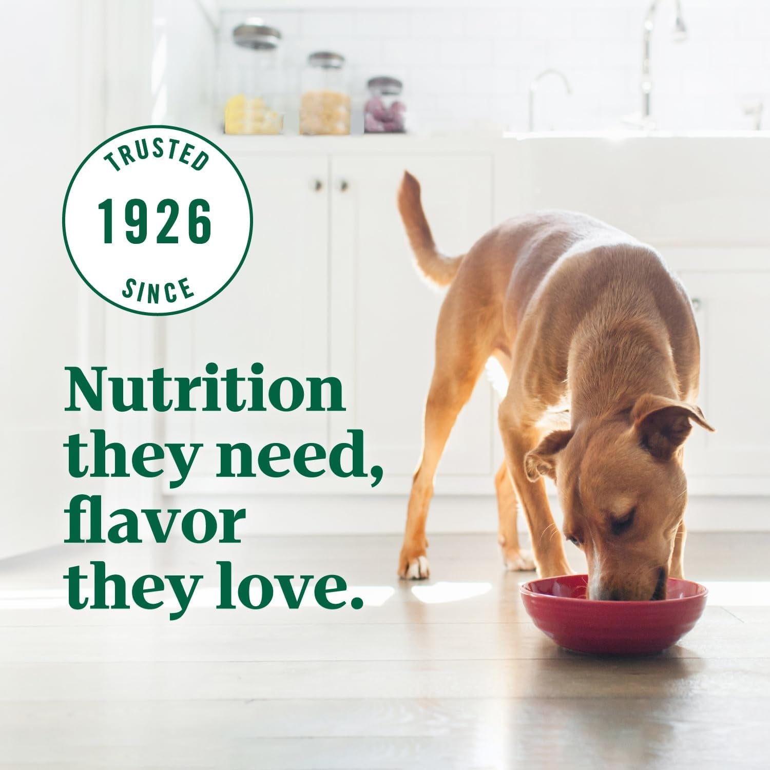 nutro-ultra-dry-dog-food-chicken-lamb-salmon-recipe-30-lb-trio-of-proteins-blend-of-14-superfoods-omega-3-6-for-radiant-coat-antioxidants-for-immunity-natural-fiber-non-gmo