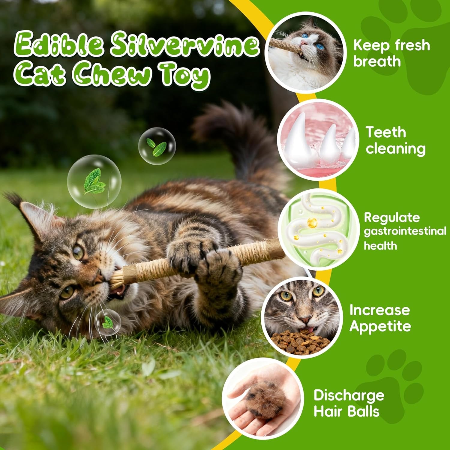silvervine-sticks-for-cats-cat-chew-rope-toys-for-indoor-cats-dental-care-teeth-cleaning-kitten-cat-teething-toys-for-health-cat-chew-stick-suitable-for-all-breeds-of-aggressive-chewers-cat