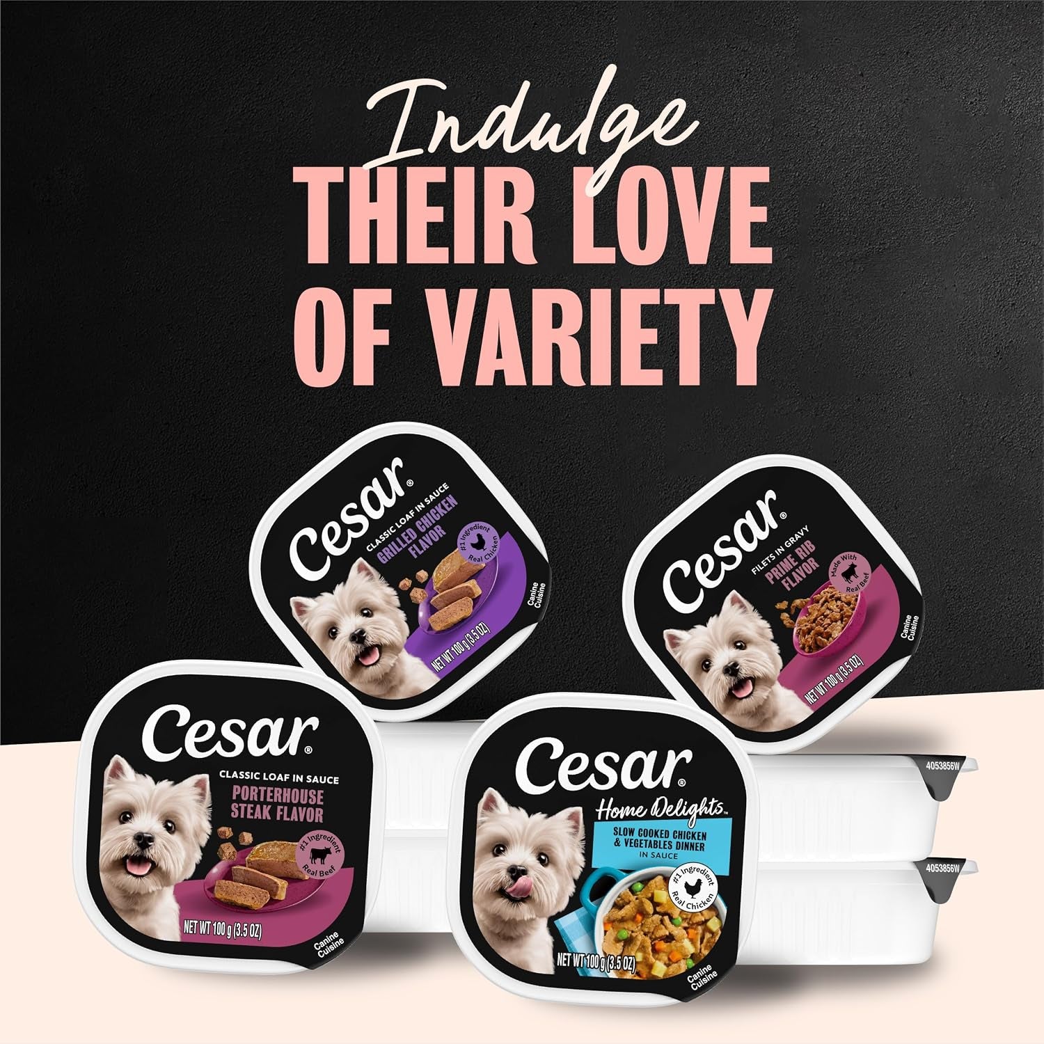 cesar-filets-in-gravy-wet-dog-food-filet-mignon-flavor-3-5-oz-24-count-real-beef-easy-to-digest-no-fillers-no-added-sugar-no-artificial-flavors-slow-cooked-tender-texture-easy-peel-trays
