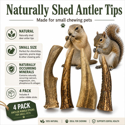 Whitetail Naturals Small Animal Antler Chews, 4 Pack Gnaw Stick Toys | for Squirrels Hamsters Gerbils Guinea Pigs Rats Degus Prairiedogs Chinchilas Rabbits - Calcium & Minerals - Not for Dogs2