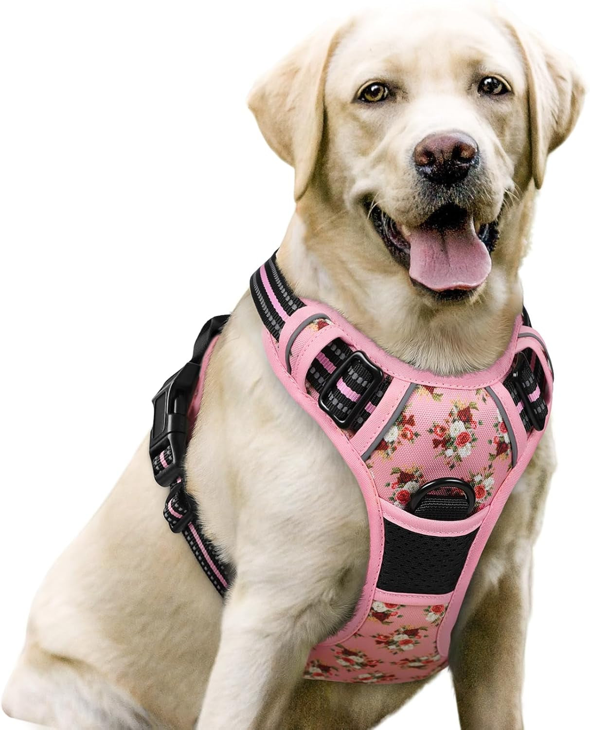 rabbitgoo-dog-harness-no-pull-for-large-dogs-with-2-leash-clips-pet-vest-no-choke-with-handle-adjustable-soft-padded-reflective-easy-control-for-walking-black-large