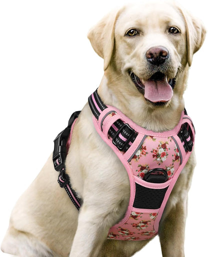 Rabbitgoo Dog Harness, No Pull for Large Dogs with 2 Leash Clips, Pet Vest | No Choke with Handle, Adjustable Soft Padded, Reflective, Easy Control for Walking, Black, Large36