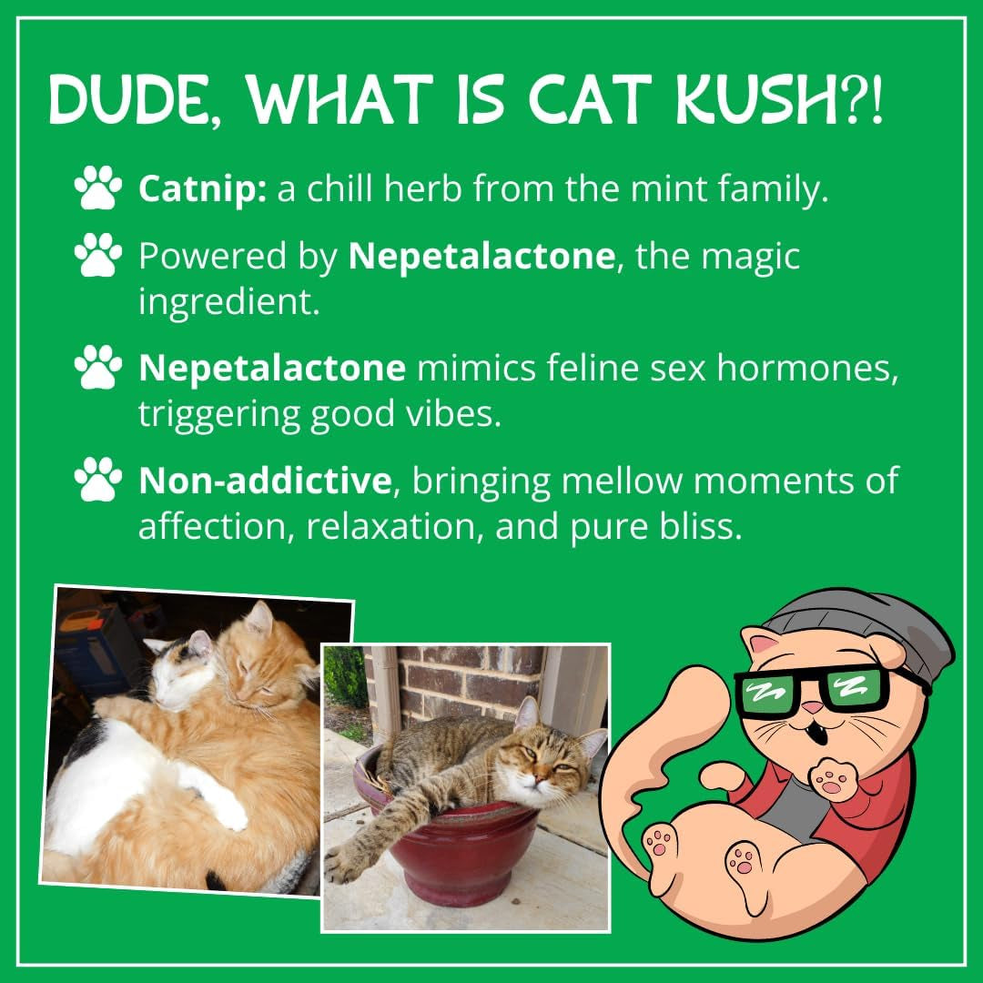 organic-catnip-safe-premium-blend-perfect-for-cats-instilled-with-maximized-potency-your-kitty-is-sure-to-go-crazy-for-1-cup-instilled-with-maximized-potency-your-kitty-is-guaranteed-to-go-crazy-for-1-cup