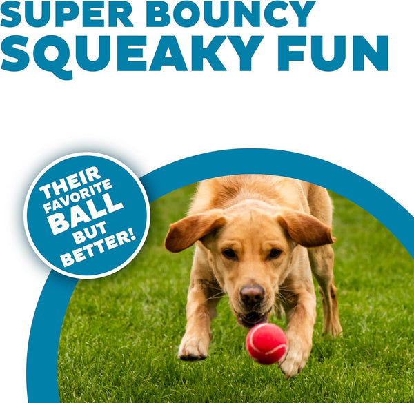 Outward Hound Squeaker Ballz – Squeaky Tennis Balls for Dogs under 50 Lbs, Interactive Dog Toy for Fetch & Training, Medium (2.5"), 4‑Pack2