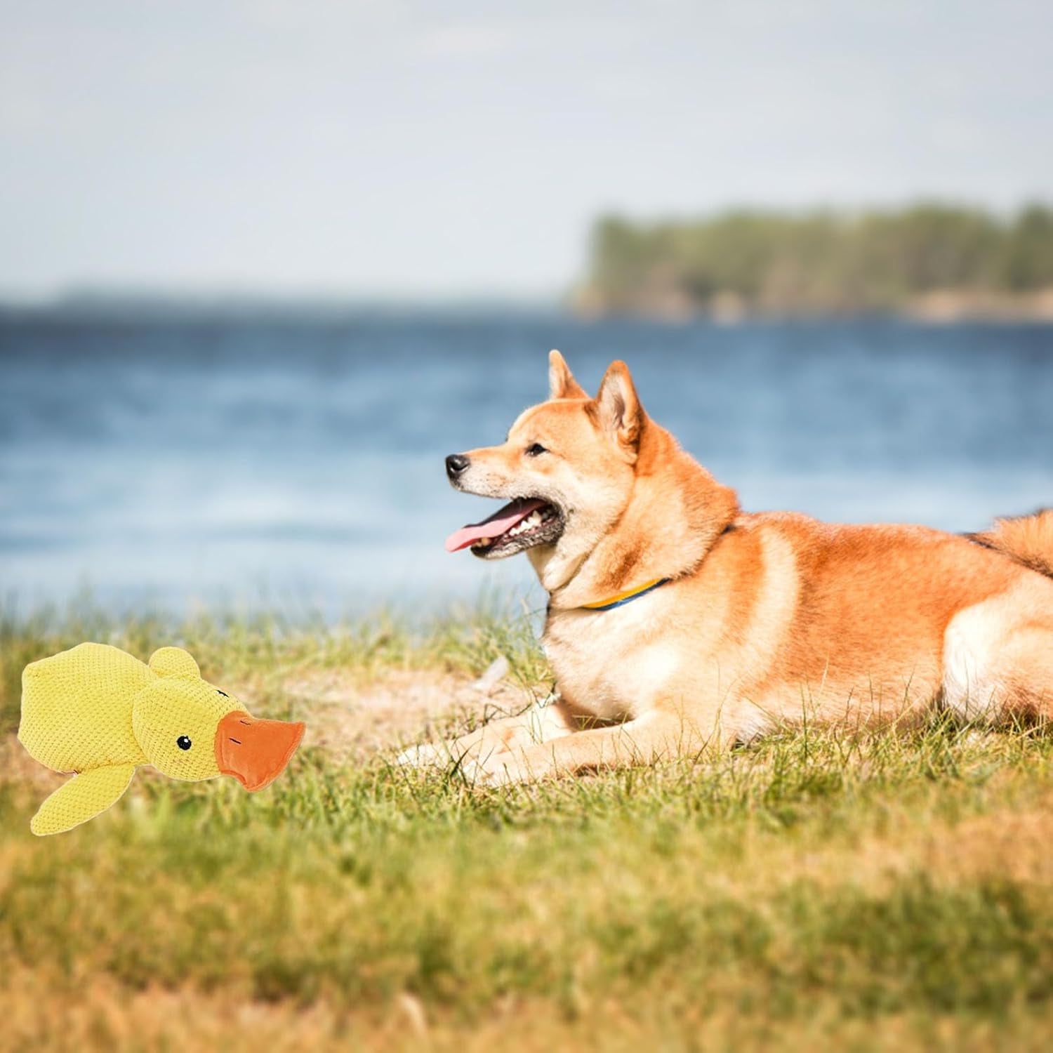 mellow-dog-calming-duck-2025-new-yellow-duck-dog-toy-the-mellow-ducks-calming-pillow-dogs-ducks-toy-with-quacking-sound-for-indoor-dogs