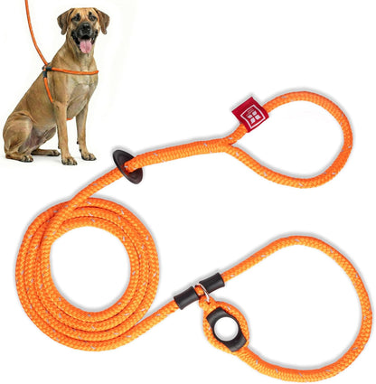 Harness Lead Escape Resistant, Reduces Pull Dog Harness, Medium/Large, Black21