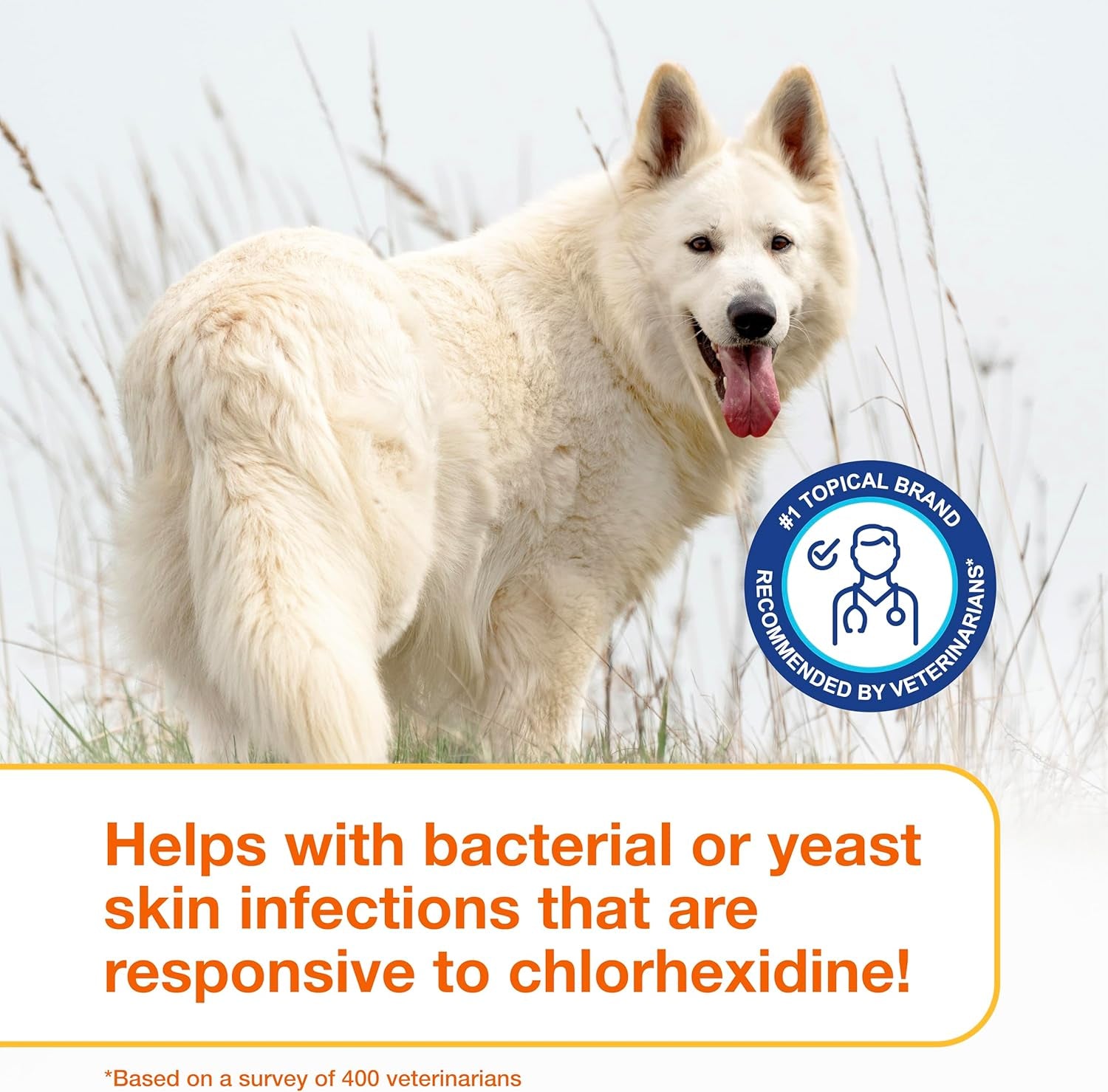 douxo-s3-pyo-medicated-dog-shampoo-with-3-chlorhexidine-for-dogs-antibacterial-antiseptic-yeast-infection-treatment-for-dogs-cats-clinically-proven-6-7-fl-oz-antibacterial-antiseptic-yeast-infection-treatment-for-dogs-cats-clinically-proven-6-7-fl-oz