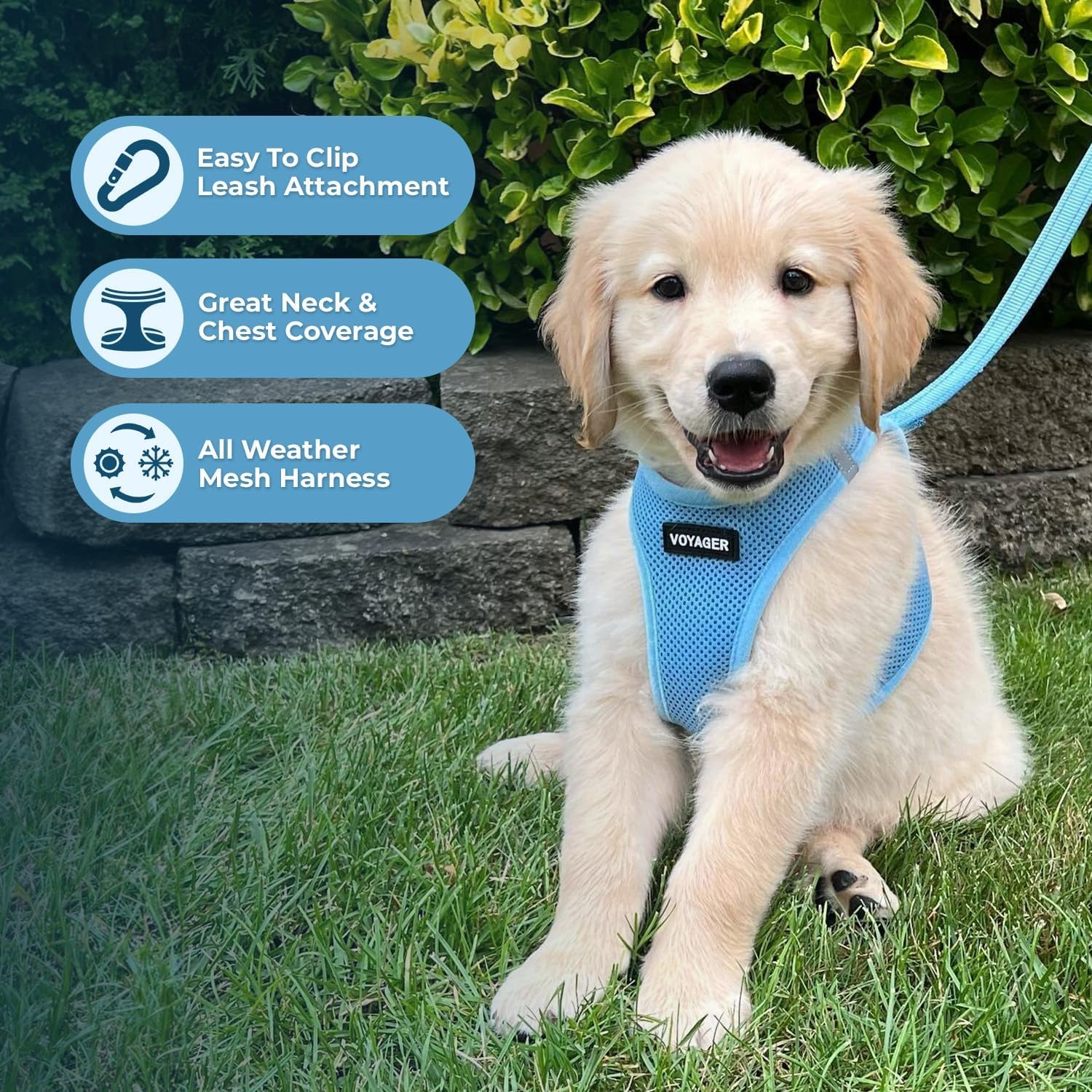 best-pet-supplies-voyager-step-in-air-all-weather-mesh-harness-and-reflective-dog-5ft-leash-combo-with-neoprene-handle-for-small-medium-and-large-breed-puppies-baby-blue-small