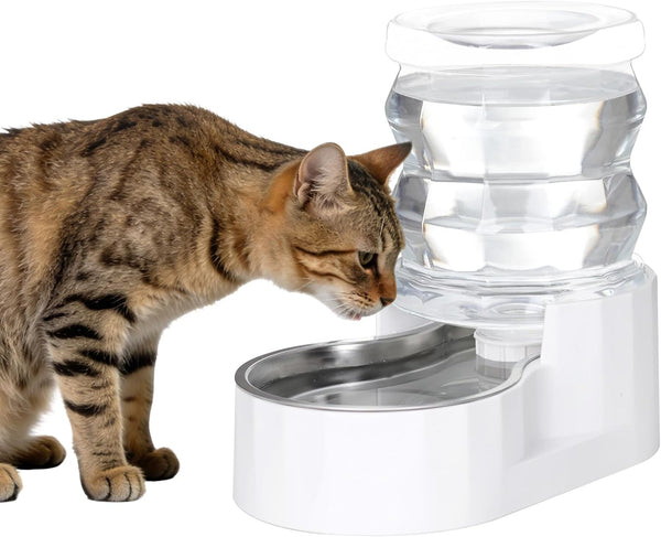RIZZARI 8L Gravity Dog Water Dispenser: Stainless Steel Bowl Anti-Splash | Wide Mouth Easy Cleaning/ Dishwasher Safe/No Electricity Needed/ Filtered Fresh Water / Multi-Pet Homes15